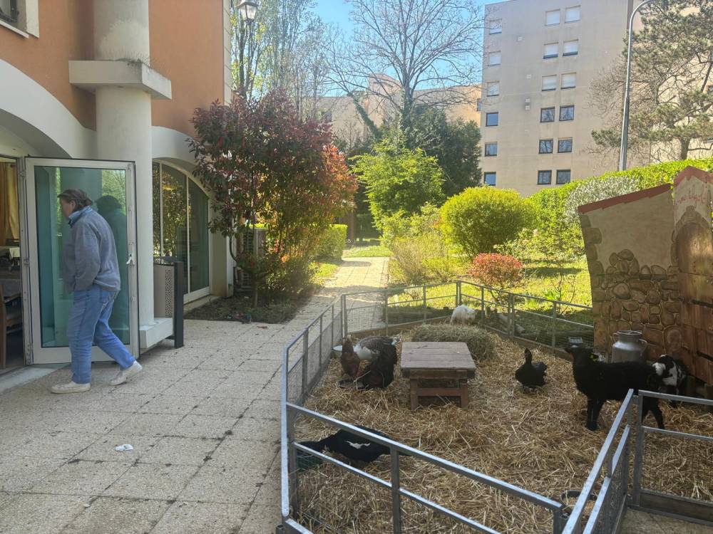 PAUL GAUGUIN - Photos (2)