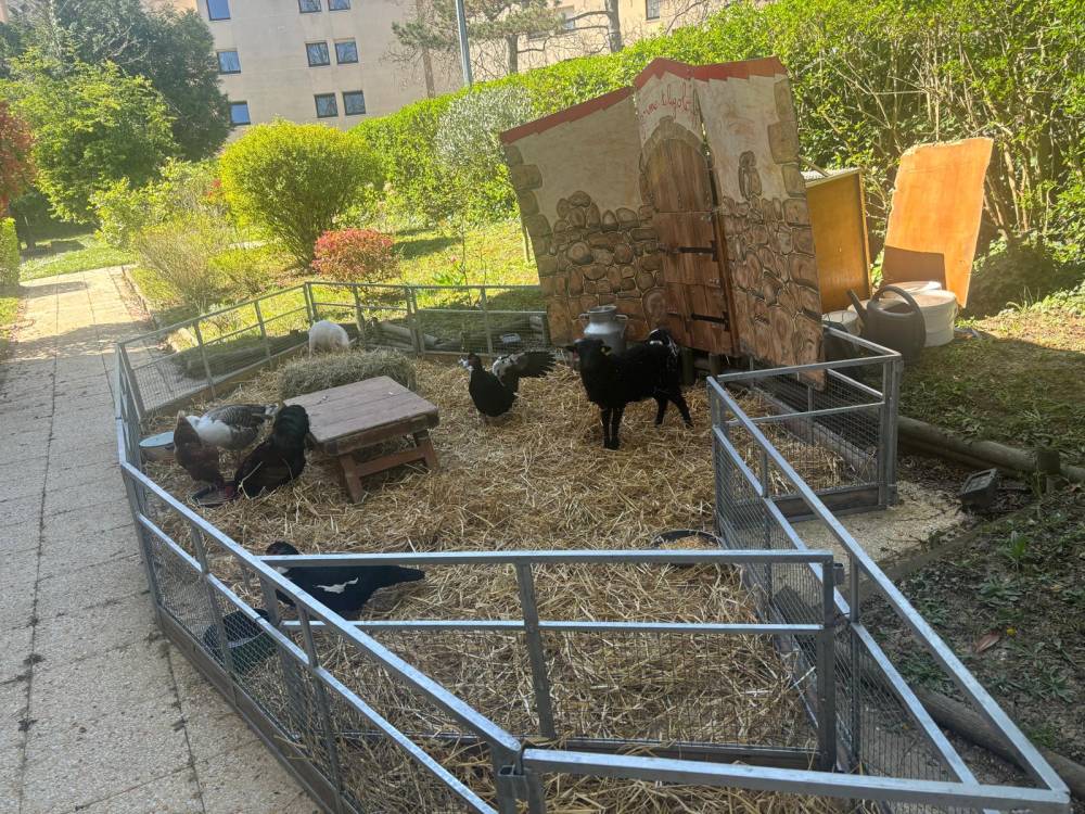 PAUL GAUGUIN - Photos (3)