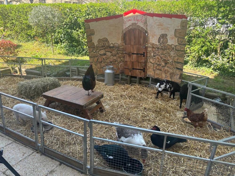 PAUL GAUGUIN - Photos (9)