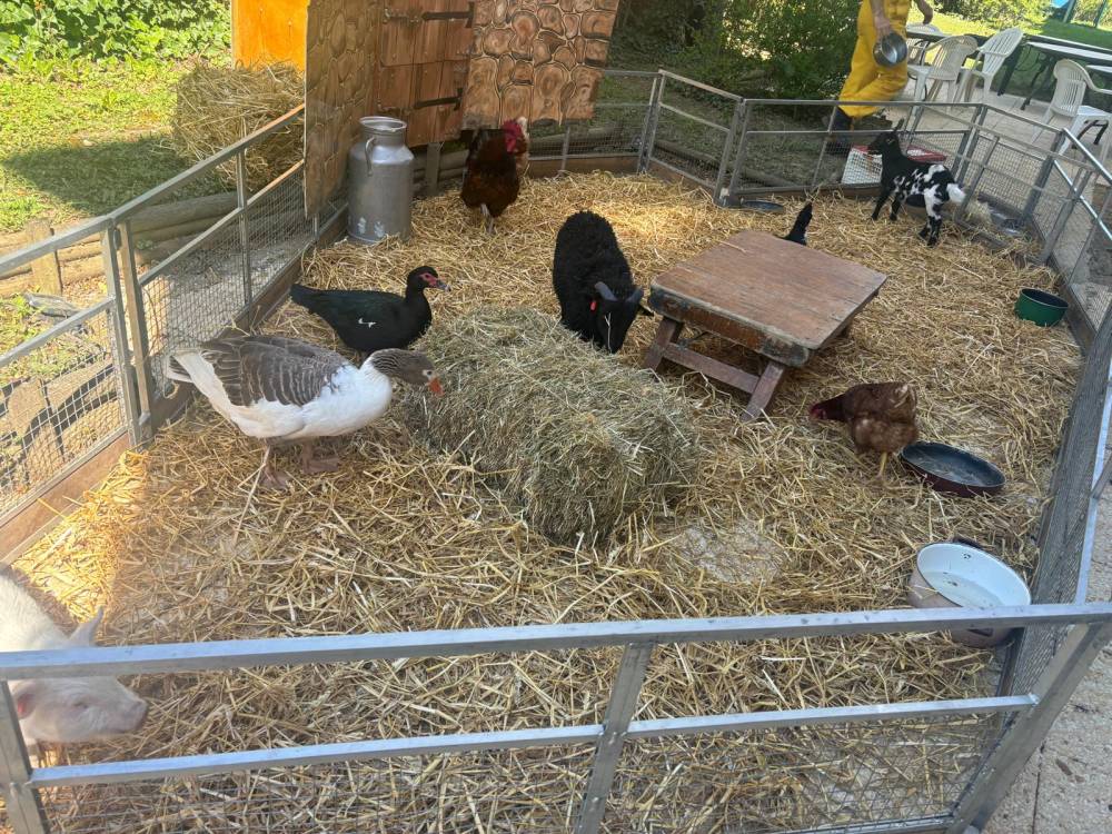 PAUL GAUGUIN - Photos (11)