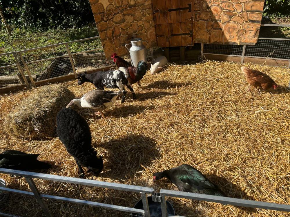 PHOTO-2025-04-10-10-20-57 (5)