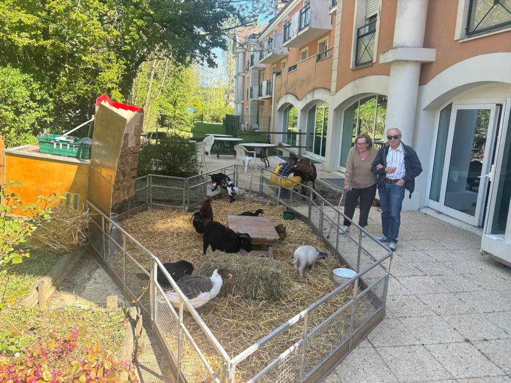 PHOTO-2025-04-10-10-20-57 (4)