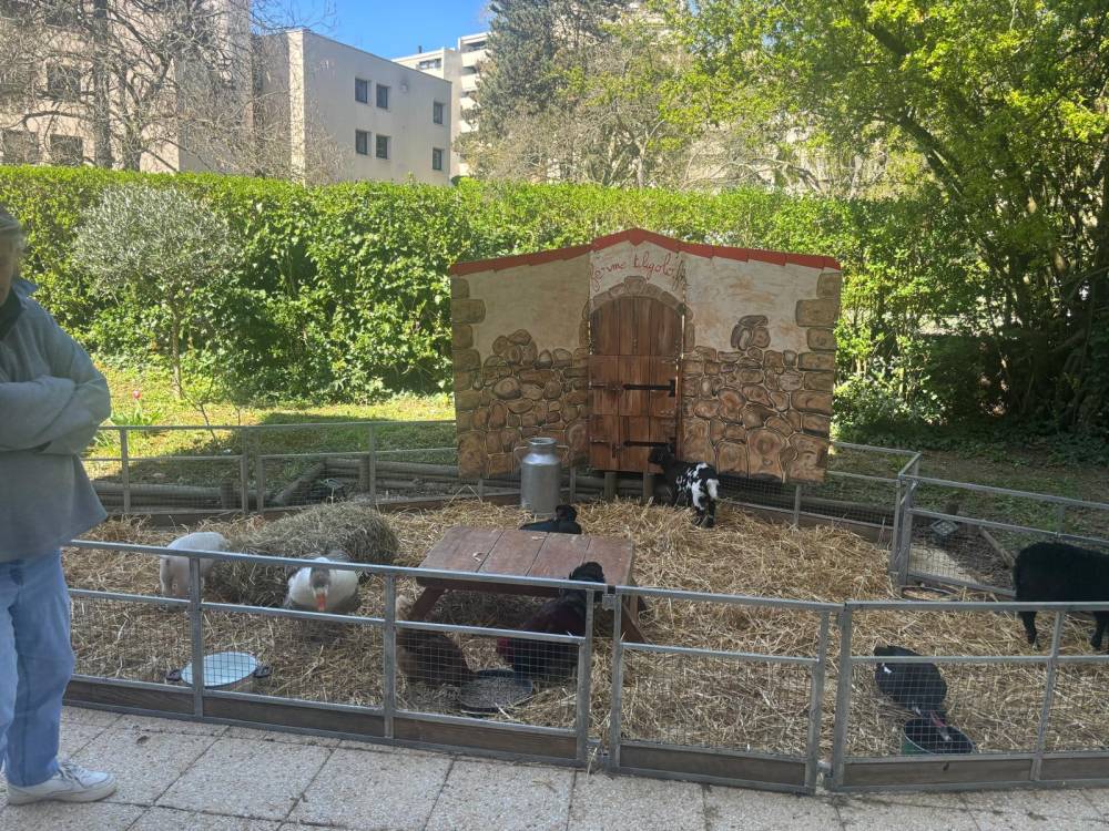 PHOTO-2025-04-10-10-20-56 (1)